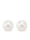 Mateo Women's 14k Yellow Gold & 6mm Cultured Freshwater Pearl Stud Earrings In Gold