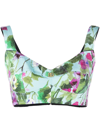 DOLCE & GABBANA BLUEBELL-PRINT POPLIN CORSET TOP