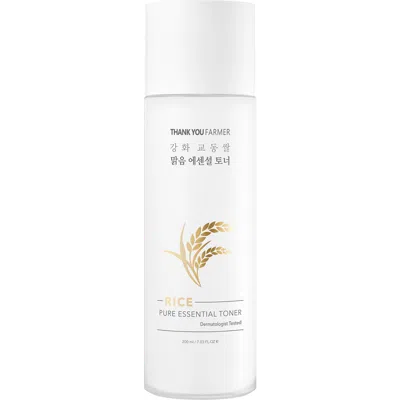 46454329 Rice Pure Essential Toner In Transparent