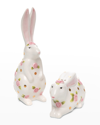 PATIENCE BREWSTER REALLY ROSY SALT & PEPPER SHAKER SET