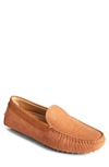 SPERRY GOLD CUP MERIDIAN DRIVING SHOE