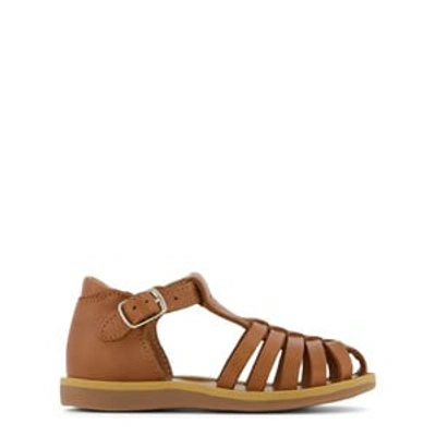 Pom D'api Kids' Camel Poppy Pitti Sandals In Brown