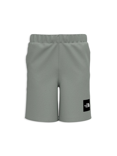 The North Face Kids' Little Boy's & Boy's Never Stop Wearing Shorts In Light Grey Heather