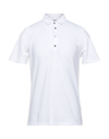 Alpha Studio Polo Shirts In White