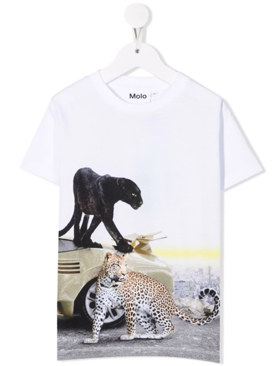 Molo Kids' Tiger-motif Organic-cotton T-shirt In White
