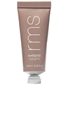 Rms Beauty Eyelights Cream Eyeshadow In Strobe