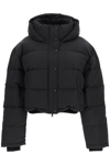 Wardrobe.nyc + Net-a-porter Hooded Quilted Padded Shell Down Jacket In Black (black)