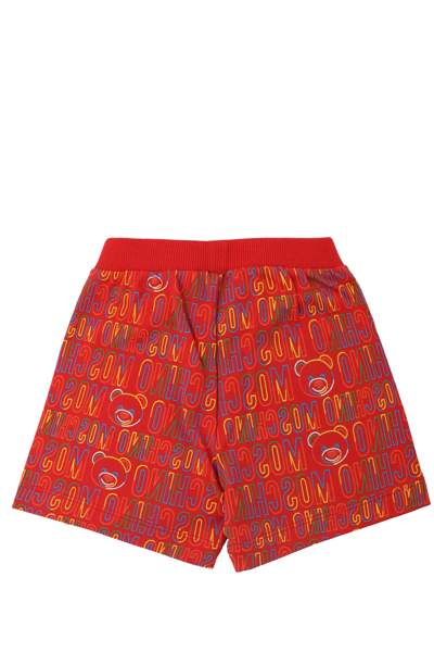 Moschino Babies' Cotton Shorts In Red