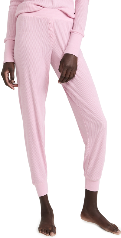 Pj Salvage Textured Essentials Ribbed Knit Joggers In Dusty Rose
