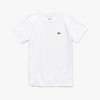 Lacoste T-shirts And Polos White In White