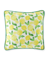 Eastern Accents Knowles Boxed Decorative Pillow