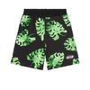 Msgm Teen Leaf-print Cotton Shorts In Green