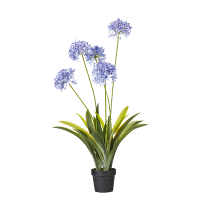 Oka Faux Agapanthus Plant - Purple