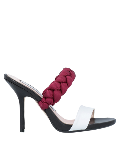 Ncub Sandals In White
