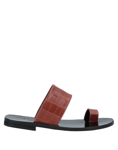 Ncub Toe Strap Sandals In Brown