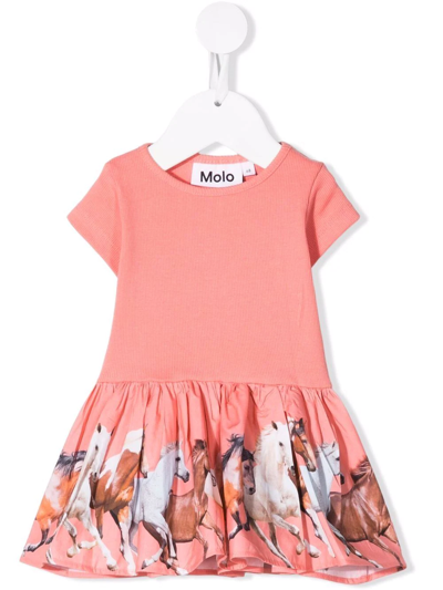Molo Babies' Horse-print Flared T-shirt Dress In Pink