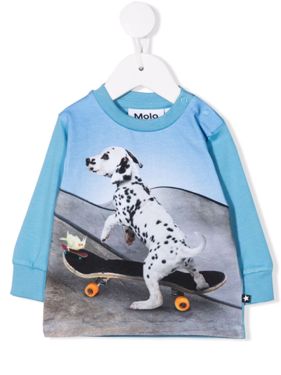 Molo Babies' Skating-puppy Graphic-print Sweatshirt In Blue