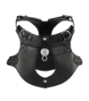 PAGERIE COLOMBO DOG HARNESS (MEDIUM)