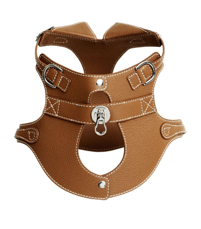 Pagerie Colombo Dog Harness (medium)