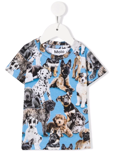 Molo Babies' Dog-print T-shirt In Blue