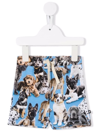 Molo Babies' All-over Dog-print Shorts In Blue