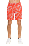 Msgm Jogging Shorts With All Over Shark Print In Red