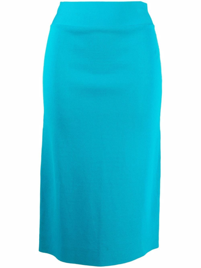 P.a.r.o.s.h Roma Knitted Pencil Skirt In Blue