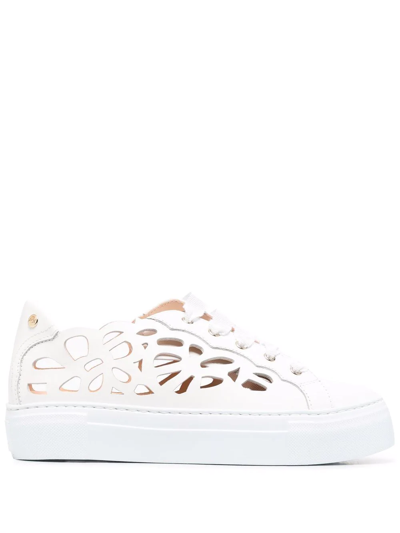 Agl Attilio Giusti Leombruni Laser-cut Detail Trainers In White