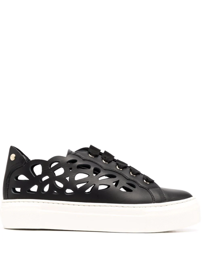 Agl Attilio Giusti Leombruni Laser-cut Leather Trainers In Black