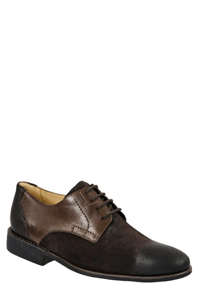 Sandro Moscoloni Plain Toe Leather Derby In Brown