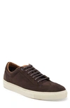 Paisley & Gray Addington Wingtip Leather Sneaker In Brown Suede