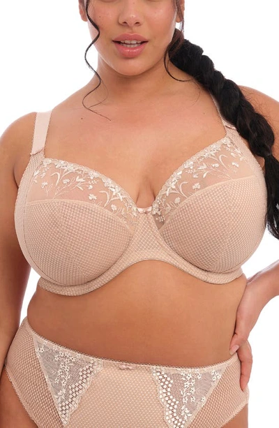 Elomi Charley Full Figure Underwire Plunge Bra In Fawn