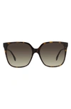 Fendi Fine 59mm Butterfly Sunglasses In Havana/brown