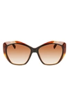 Longchamp 57mm Roseau Tea Cup Sunglasses In Black/ Havana Honey