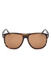 Tom Ford 56mm Polarized Square Sunglasses In Shiny Warm Brown