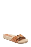 Isabel Marant Jaso Studded Leather Slide Sandals In Brown