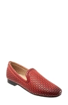 TROTTERS TROTTERS GINGER PERFORATED LOAFER