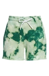Cotton Citizen The Brooklyn Shorts In Shamrock Blast