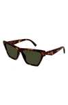 Saint Laurent Women Printed Acetate Sl M103 Rim Sunglasses In Havana