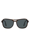 Ray Ban Ray-ban Square Sunglasses, 58mm In Havana/blue
