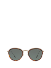Giorgio Armani Ar6068 Red Havana Male Sunglasses In Red Havana