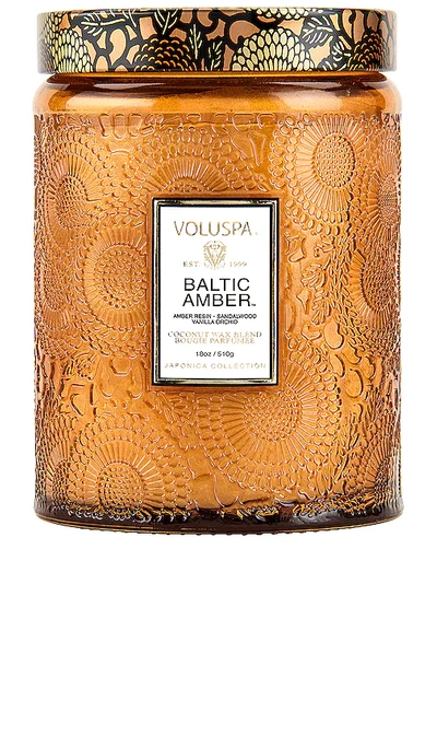 Voluspa Baltic Amber Large Jar Candle In Woody