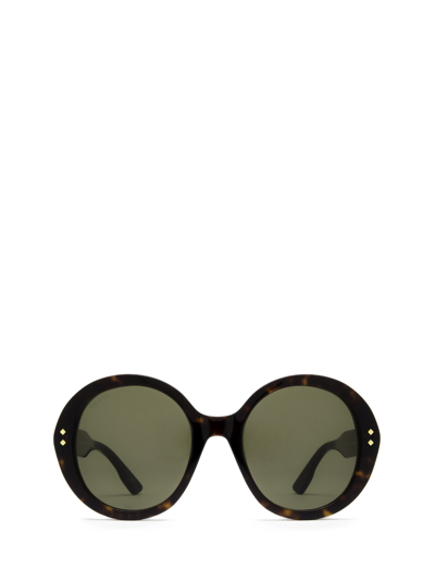 Gucci Gg1081s Havana Female Sunglasses