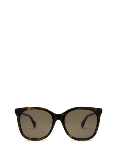Gucci Gg1071s Havana Female Sunglasses