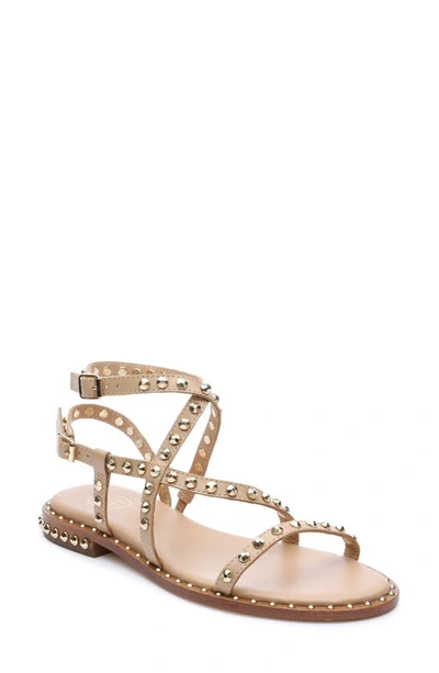Ash Paola Studded Leather Flat Sandals In Gold