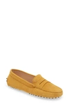 Tod's Gommini Suede Mocassino Penny Loafers In Marrone