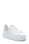 Ash Moby 02 Sneakers In White Leather