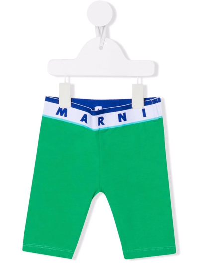 Marni Babies' Logo-waist Cotton Leggings In Green