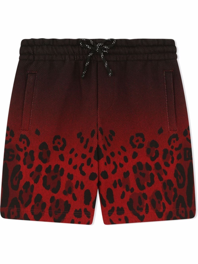 Dolce & Gabbana Kids' Gradient Leopard-print Shorts In Black