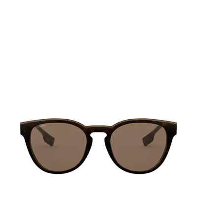 Burberry Be4310 Transparent Grey On Havana Male Sunglasses In Brown